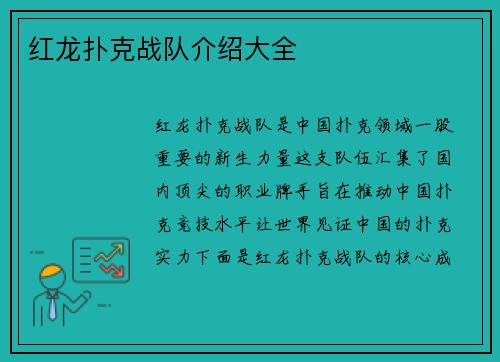 红龙扑克战队介绍大全